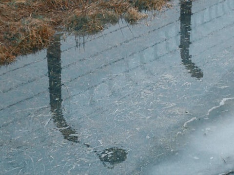 Fences of Auschwitz